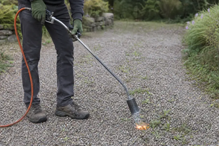 Gardener using a propane weed torch on a gravel path